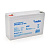 Акумуляторна батарея MERLION AGM GP6140F2 6 V 14Ah ( 150 x 50 x 95 (100) ) Q10