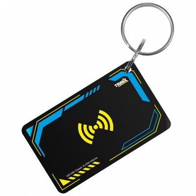 Trinix Proxymity-key EM+MF epoxy Ключ